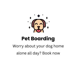 pet vaccination